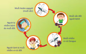 UBND xã An Phước ra quân tuyên truyền phòng, chống sốt xuất huyết