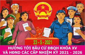 QUYỀN BẦU CỬ, NGUYÊN TẮC BẦU CỬ