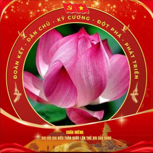 HƯỚNG DẪN THAY AVATAR CHÀO MỪNG ĐẠI HỘI XIV CỦA ĐẢNG