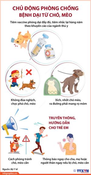Chủ động phòng, chống bệnh dại – Trách nhiệm của mỗi người dân