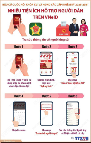 BẦU CỬ QUỐC HỘI VÀ HĐND CÁC CẤP: CÁCH TRA CỨU THÔNG TIN VỀ NGƯỜI ỨNG CỬ TRÊN VNEID