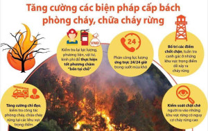 UBND Xã An Phước - Tăng cường phòng, chống cháy trong mùa khô: Cảnh báo nguy cơ cháy lan từ việc đốt tràm, đốt rác