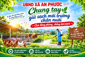 Xã An Phước: Chủ động "làm sạch" môi trường chăn nuôi, ngăn chặn dịch bệnh