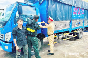 Tài xế Đ.T.N.H. dương tính với chất ma túy bị Đội Cảnh sát giao thông đường bộ số 2 (Phòng Cảnh sát giao thông Công an tỉnh) phát hiện vào sáng 23-7 khi đang lái xe tải lưu thông trên quốc lộ 20 (xã Dầu Giây). Ảnh C.T.V