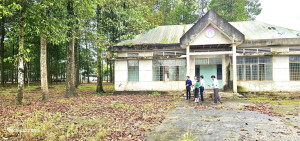 An Viễn khảo sát địa điểm tổ chức Hội Hoa Xuân Bính Ngọ 2026