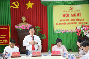 Hội nghị BCH Đảng bộ xã An Viễn lần thứ 3, nhiệm kì 2025-...