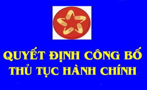 Công bố Danh mục thủ tục hành chính, dịch vụ công trực tuyến thuộc phạm vi, chức năng quản lý nhà nước của các sở, ban, ngành, Ủy ban nhân dân các xã, phường trên địa bàn thành phố Đồng Nai