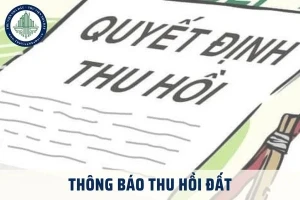 QUYẾT ĐỊNH Về việc thu hồi đất để thực hiện dự án đường Ruộng Tre - Thọ An, phường Bảo Vinh, tỉnh Đồng Nai.