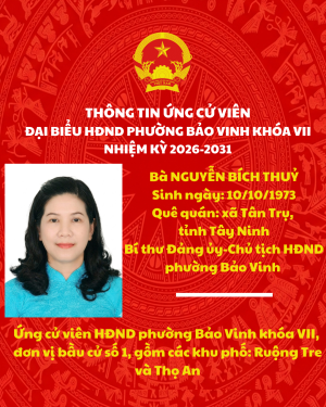 THÔNG TIN ỨNG CỬ VIÊN ĐẠI BIỂU HĐND PHƯỜNG BẢO VINH KHÓA VII NHIỆM KỲ 2026-2031
