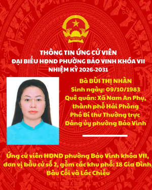 THÔNG TIN ỨNG CỬ VIÊN ĐẠI BIỂU HĐND PHƯỜNG BẢO VINH KHÓA VII NHIỆM KỲ 2026-2031