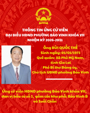 THÔNG TIN ỨNG CỬ VIÊN ĐẠI BIỂU HĐND PHƯỜNG BẢO VINH KHÓA VII NHIỆM KỲ 2026-2031