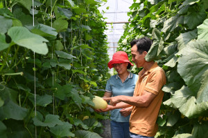 Nông dân phường Bảo Vinh vui mừng, kỳ vọng ngành nông nghiệp công nghệ cao tiếp tục được quan tâm, đầu tư phát triển
