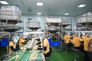 PHẤN KHỞI TRƯỚC SỰ KIỆN THÀNH LẬP HỘI DOANH NGHIỆP – KỲ VỌNG MỘT MÔI TRƯỜNG KẾT NỐI, PHÁT TRIỂN BỀN VỮNG