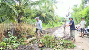 NÔNG DÂN PHƯỜNG BẢO VINH CHUNG TAY BẢO VỆ MÔI TRƯỜNG