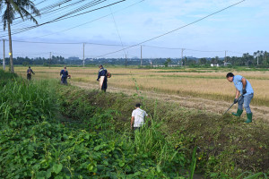 PHƯỜNG BẢO VINH RA QUÂN KHƠI THÔNG DÒNG CHẢY KÊNH MƯƠNG CÁNH ĐỒNG HÁP
