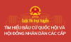 Thi Bầu cử