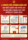 [Infographic] Quy trình 6 bước bỏ phiếu bầu cử đại biểu Quốc hội khóa XVI và đại biểu HĐND các cấp nhiệm kỳ 2026-2031