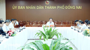 Đẩy nhanh tiến độ triển khai hạ tầng kết nối và cấp điện phục vụ cho 2 Khu công nghiệp Bàu Cạn - Tân Hiệp và Xuân Quế - Sông Nhạn