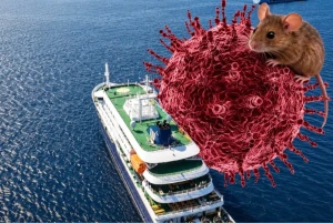 [Video] WHO cảnh báo tăng ca nhiễm virus Hanta sau ổ dịch trên du thuyền