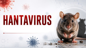 VIRUS HANTA: NGUY CƠ LÂY NHIỄM, DẤU HIỆU VÀ CÁCH PHÒNG NGỪA HIỆU QUẢ