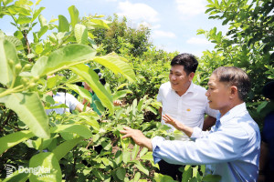 Đồng Nai đặt mục tiêu cao trong xây dựng nông thôn mới