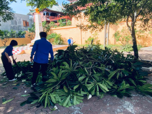 Đoàn viên Chi đoàn Thanh niên khu phố Tân Hạnh 2 thu gom cành cây, vệ sinh khuôn viên Nhà bia Liệt sĩ.