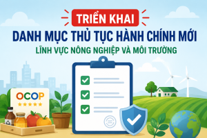 ảnh minh hoạ