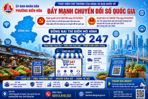 minh hoạ chợ số 247
