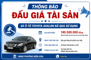 ảnh minh hoạ đấu giá