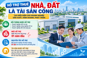 TRIỂN KHAI CHÍNH SÁCH HỖ TRỢ THUÊ NHÀ, ĐẤT LÀ TÀI SẢN CÔNG...