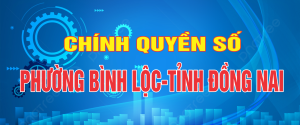 CHINH QUYÊN SỐ