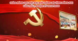 DAI HOI DANG BO TINH