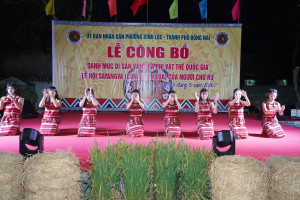 SÔI NỔI LỄ HỘI SAYANGVA NGƯỜI DÂN TỘC CHƠ RO PHƯỜNG BÌNH LỘC