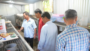 HỘI NÔNG DÂN PHƯỜNG BÌNH LỘC THAM QUAN, HỌC TẬP CÁC MÔ HÌNH PHÁT TRIỂN KINH TẾ HIỆU QUẢ