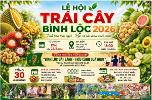 Thông tin Lễ hội trái cây phường Bình Lộc năm 2026