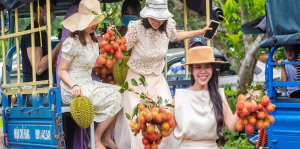 DU LICH VƯỜN BÌNH LỘC