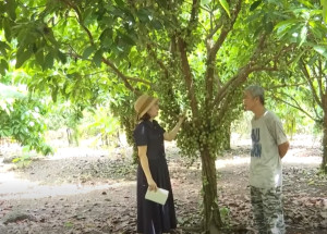 Phát triển du lịch vườn, nâng cao thu nhập cho nông dân