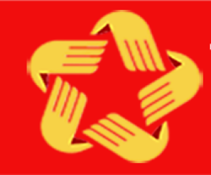 hcc (1)