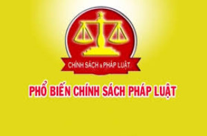 UBND phường Bình Long công bố công khai danh sách tuyên truyền viên pháp luật