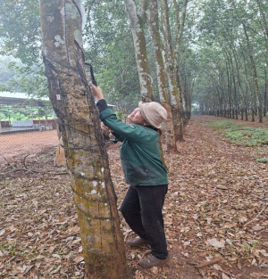 Ở đâu người dân khó khăn, ở đó có Ngân hàng Chính sách Xã hội – Câu chuyện từ phường Bình Long