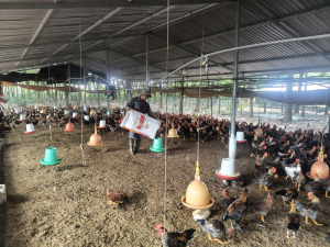 GIẢM LÃI SUẤT - CHÍNH SÁCH HỢP LÒNG DÂN