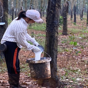 KHƠI THÔNG NGUỒN VỐN ƯU ĐÃI – TIẾP SỨC CHO CÁC HỘ GIA ĐÌNH KHÓ KHĂN