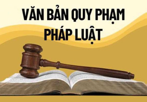 TRIỂN KHAI NGHỊ QUYẾT SỐ 49/2025/NQ-HĐND