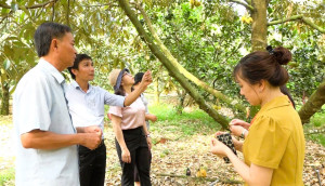 LÃNH ĐẠO HỘI NÔNG DÂN PHƯỜNG BÌNH LONG THĂM HỢP TÁC XÃ SẦU RIÊNG