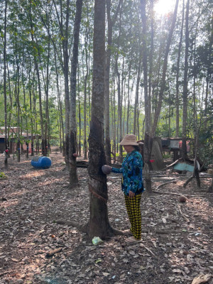 Nguồn vốn NHCSXH Bình Long - Đòn bẩy giúp người dân khu phố Chà Là vươn lên thoát nghèo