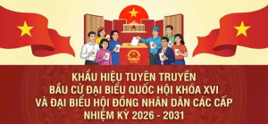 Khau hieu bau cu