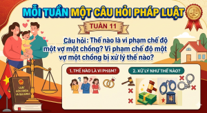 T11 H1