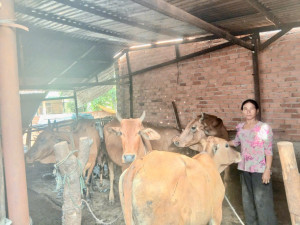 VƯƠN LÊN THOÁT NGHÈO TỪ NGUỒN VỐN VAY  NGÂN HÀNG CHÍNH SÁCH XÃ HỘI BÌNH LONG