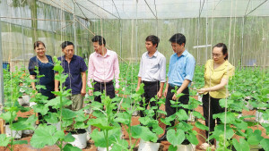 HỘI NÔNG DÂN PHƯỜNG BÌNH LONG THẨM ĐỊNH PHƯƠNG ÁN VAY VỐN, ĐỒNG HÀNH CÙNG HỘI VIÊN PHÁT TRIỂN SẢN XUẤT VÀ CHUYỂN ĐỔI SỐ