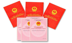 Gat chung nhan